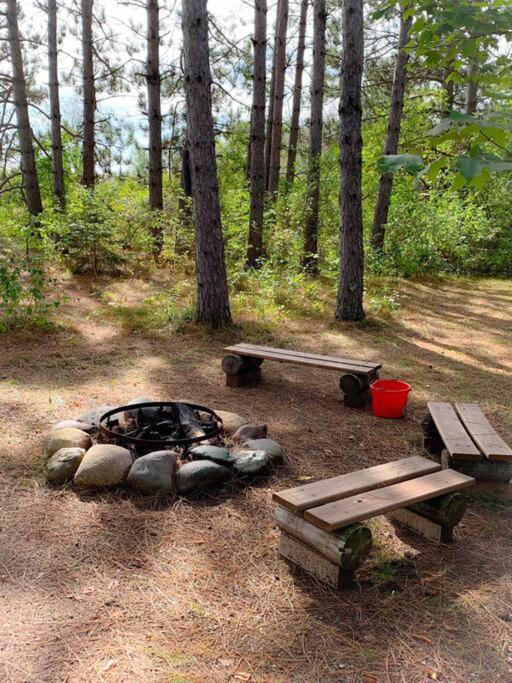 הייוורד Fancy Fireflies Cabin מראה חיצוני תמונה