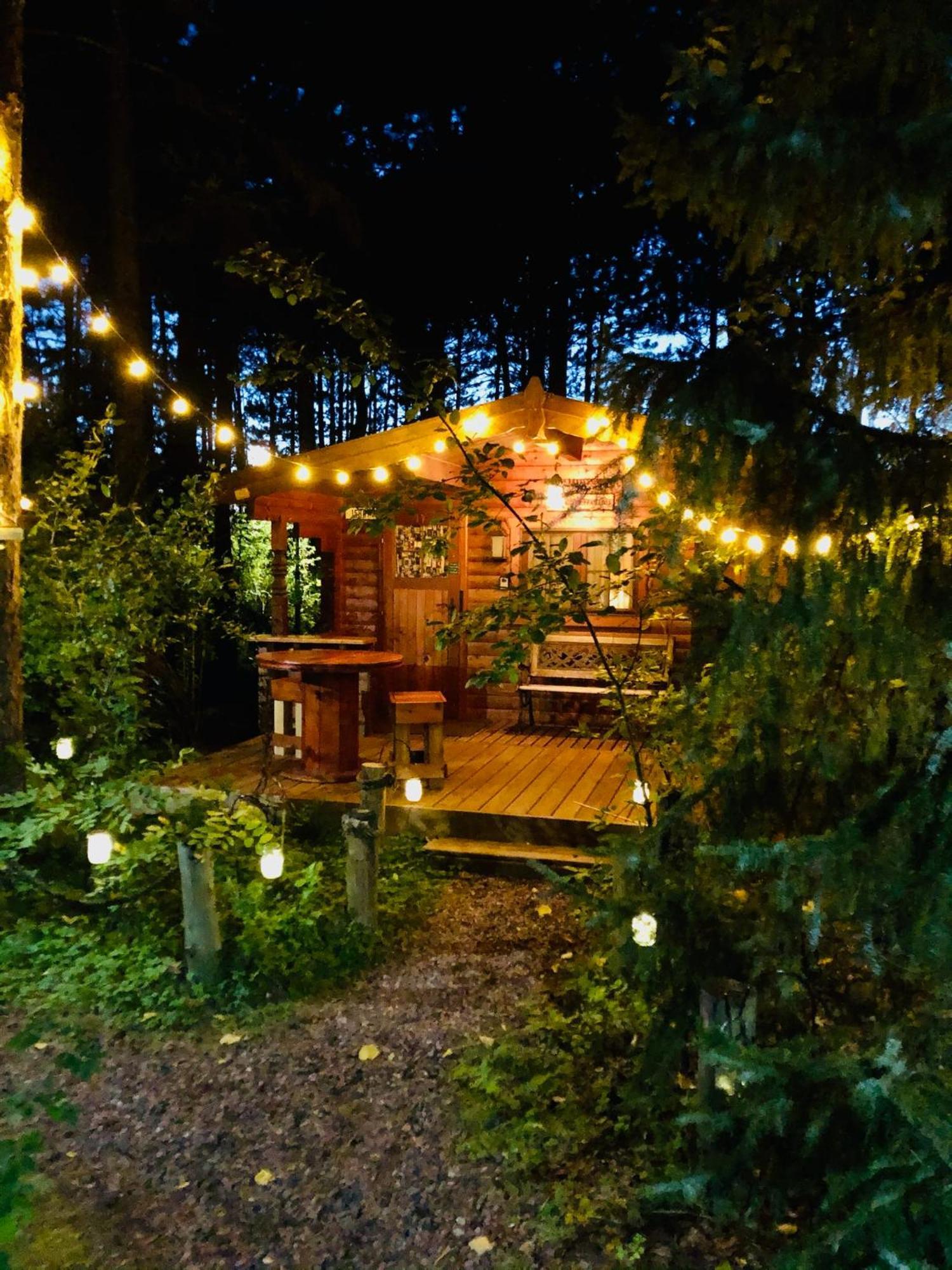 הייוורד Fancy Fireflies Cabin מראה חיצוני תמונה